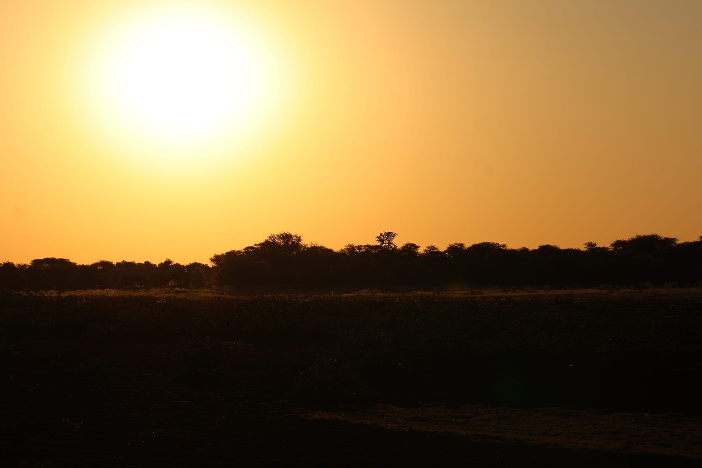 Etosha & Damaraland in het Kort