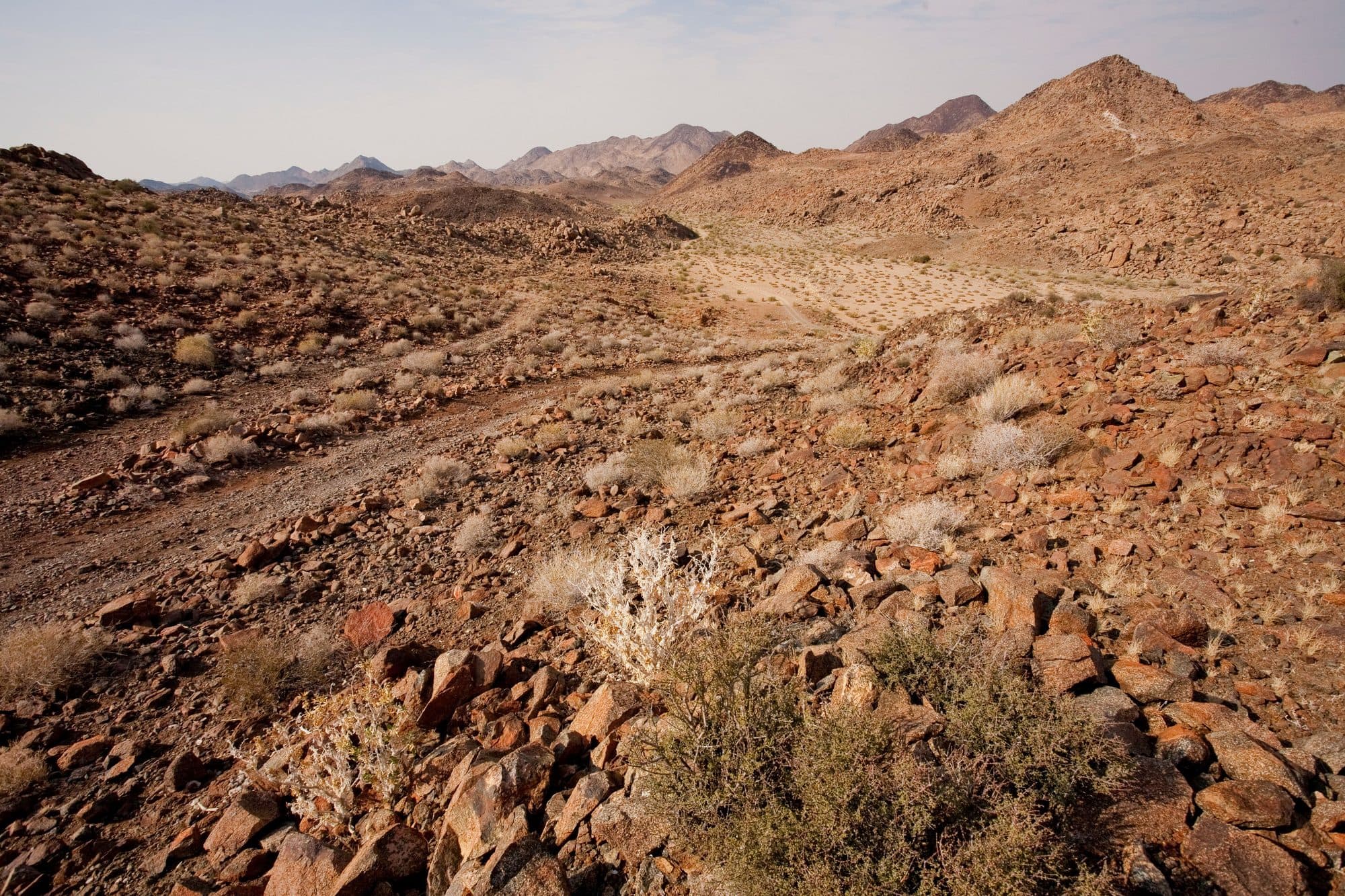 Erongo-gebergte