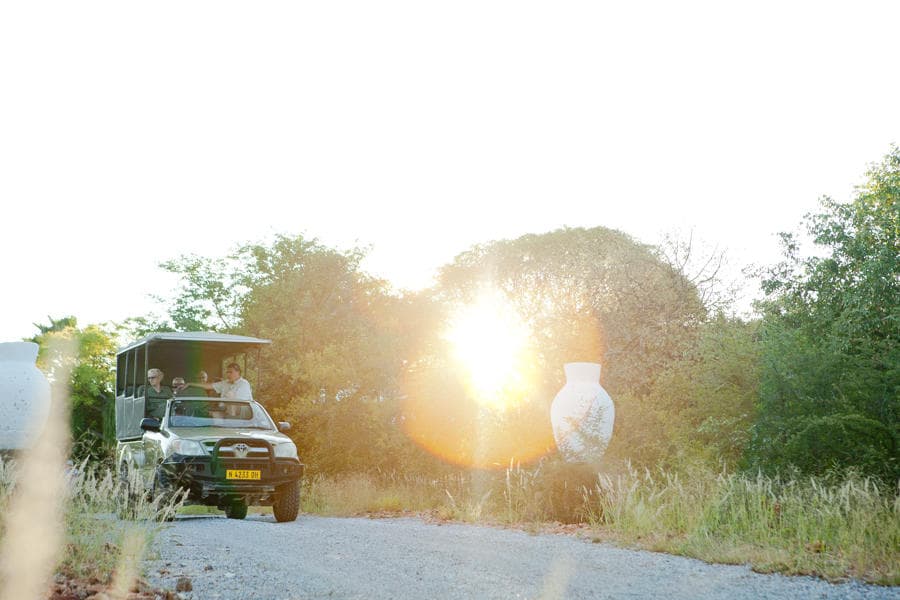 Guided Game Drive in Etosha (foto 3/3)
