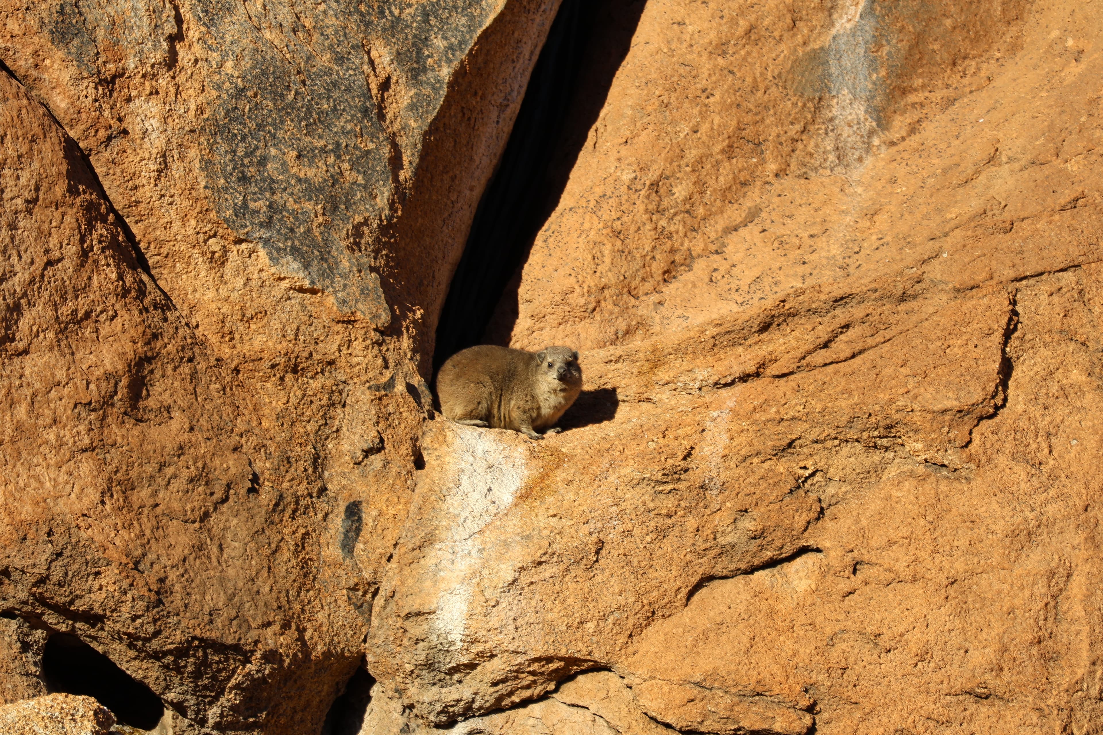 Erongo, Namibië (foto 3/4)