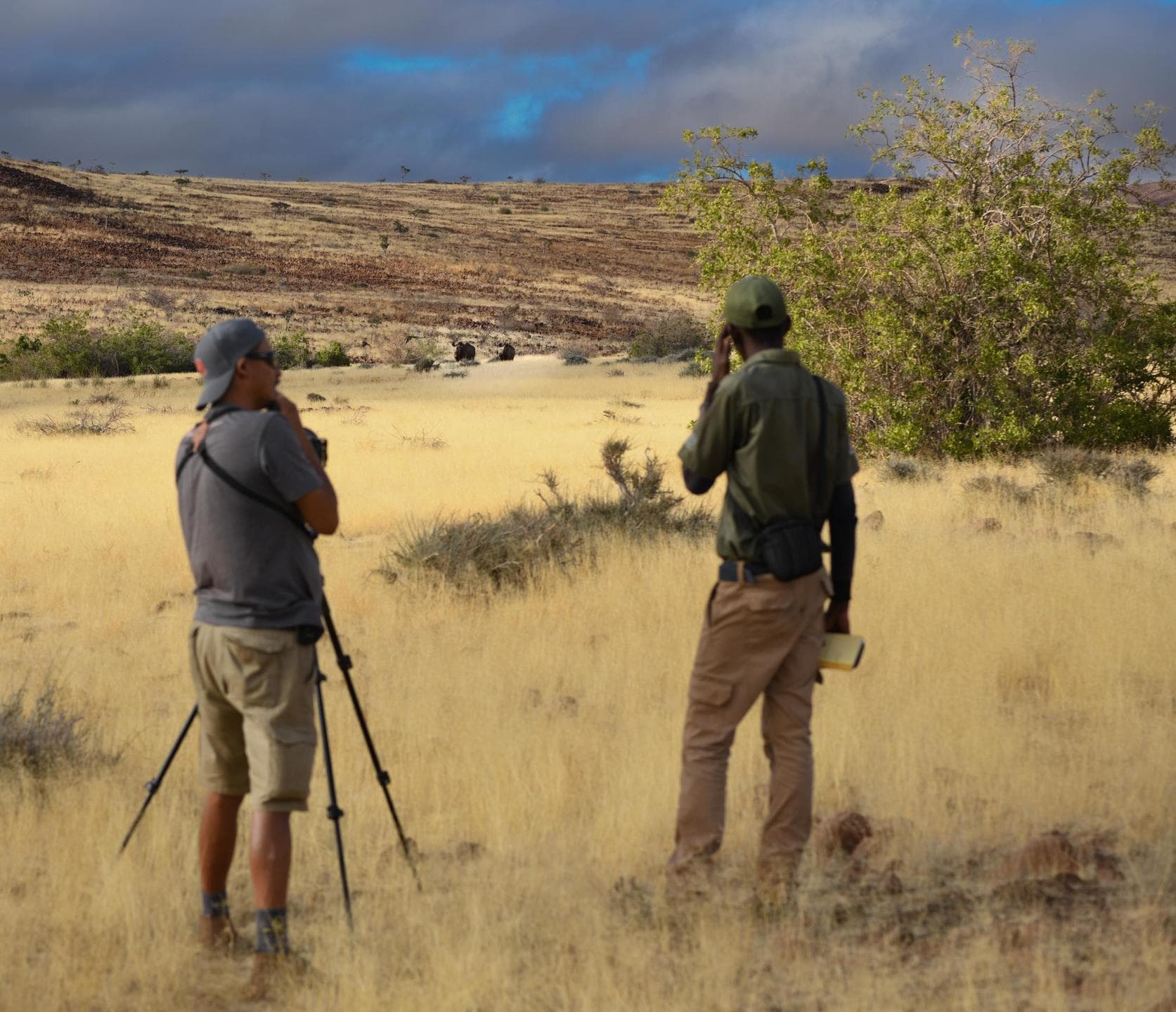 Black Rhino Tracking (foto 2/2)