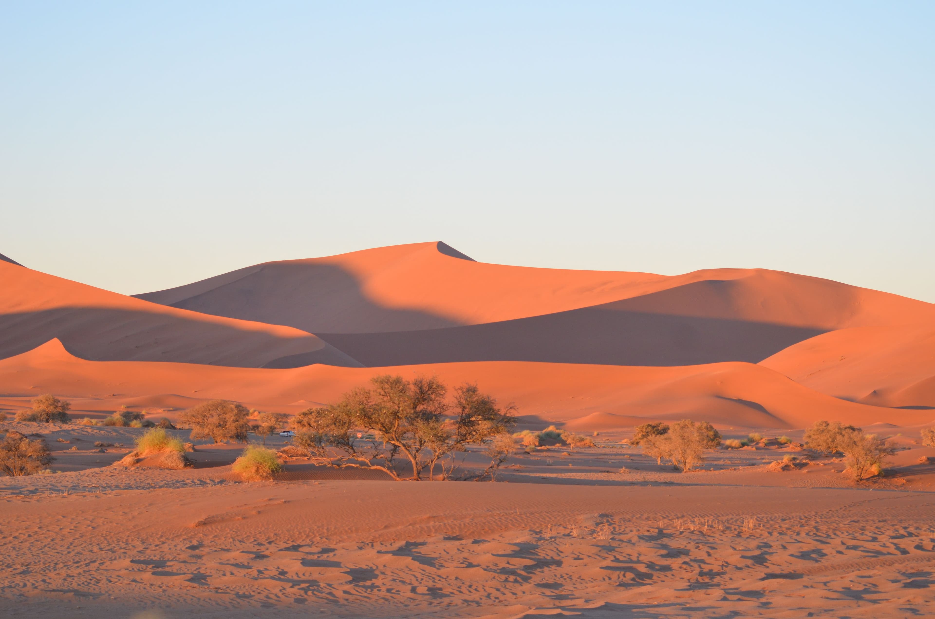 Desert Camp