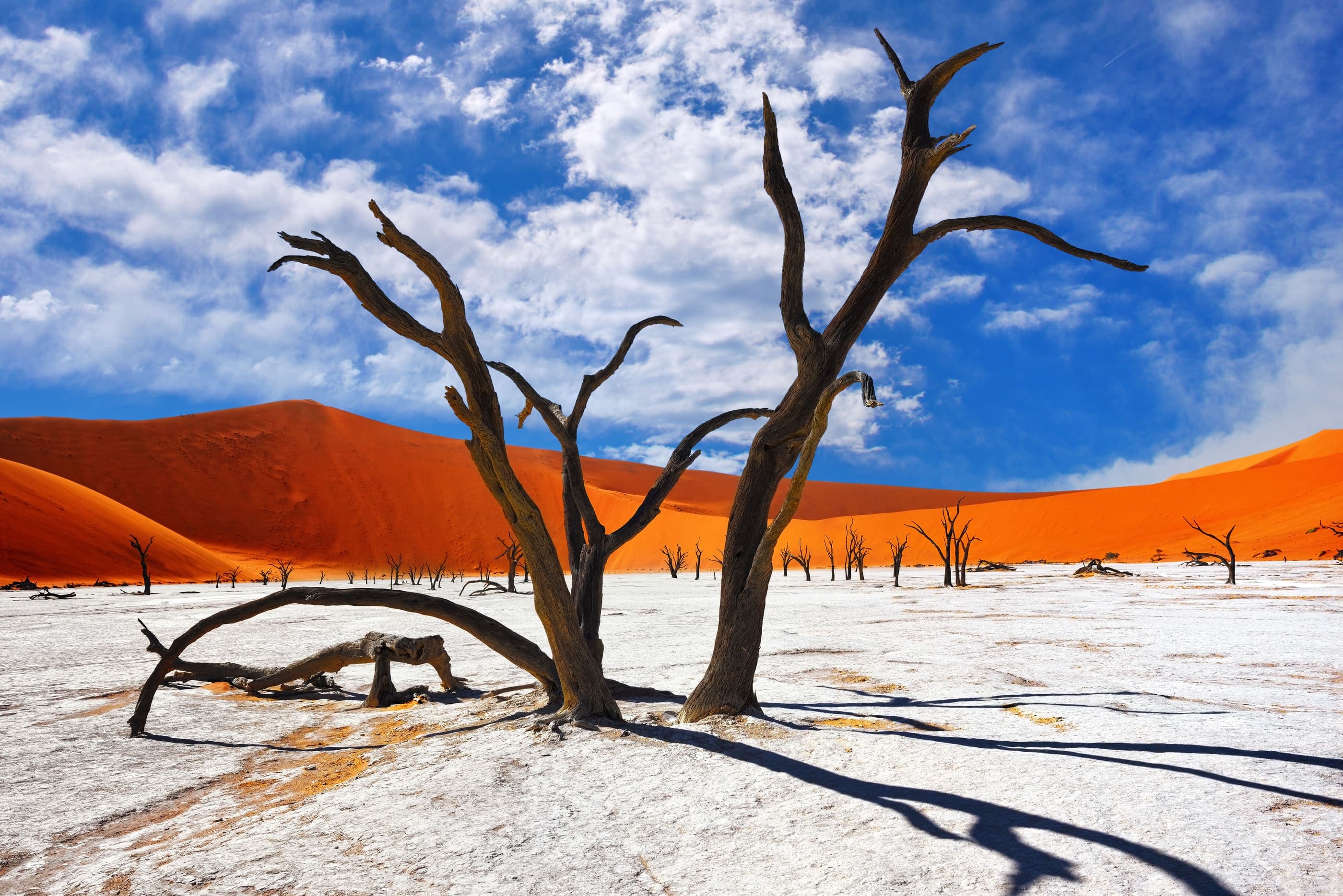 Hoogtepunten van Namibië - Budget