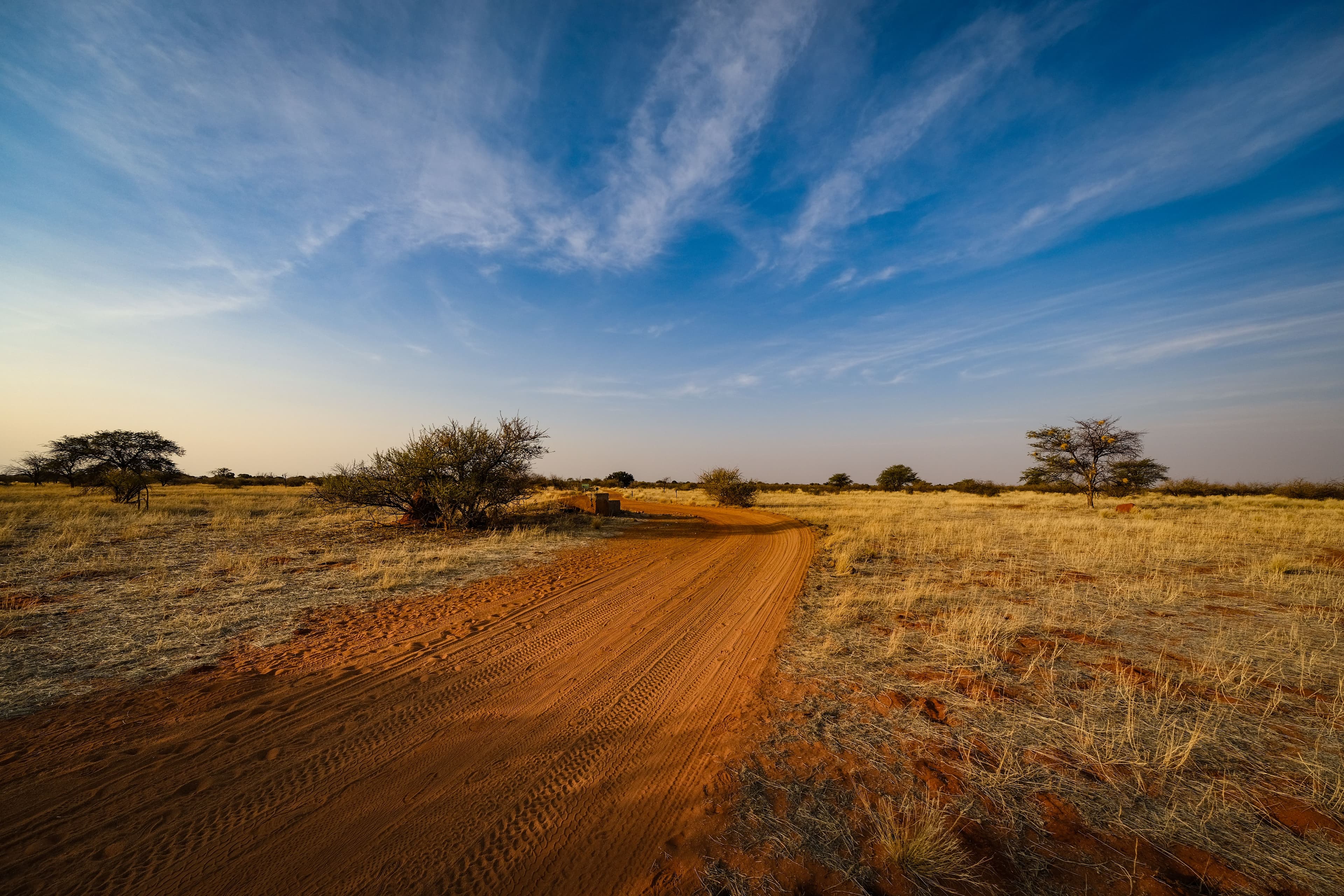 Kalahari