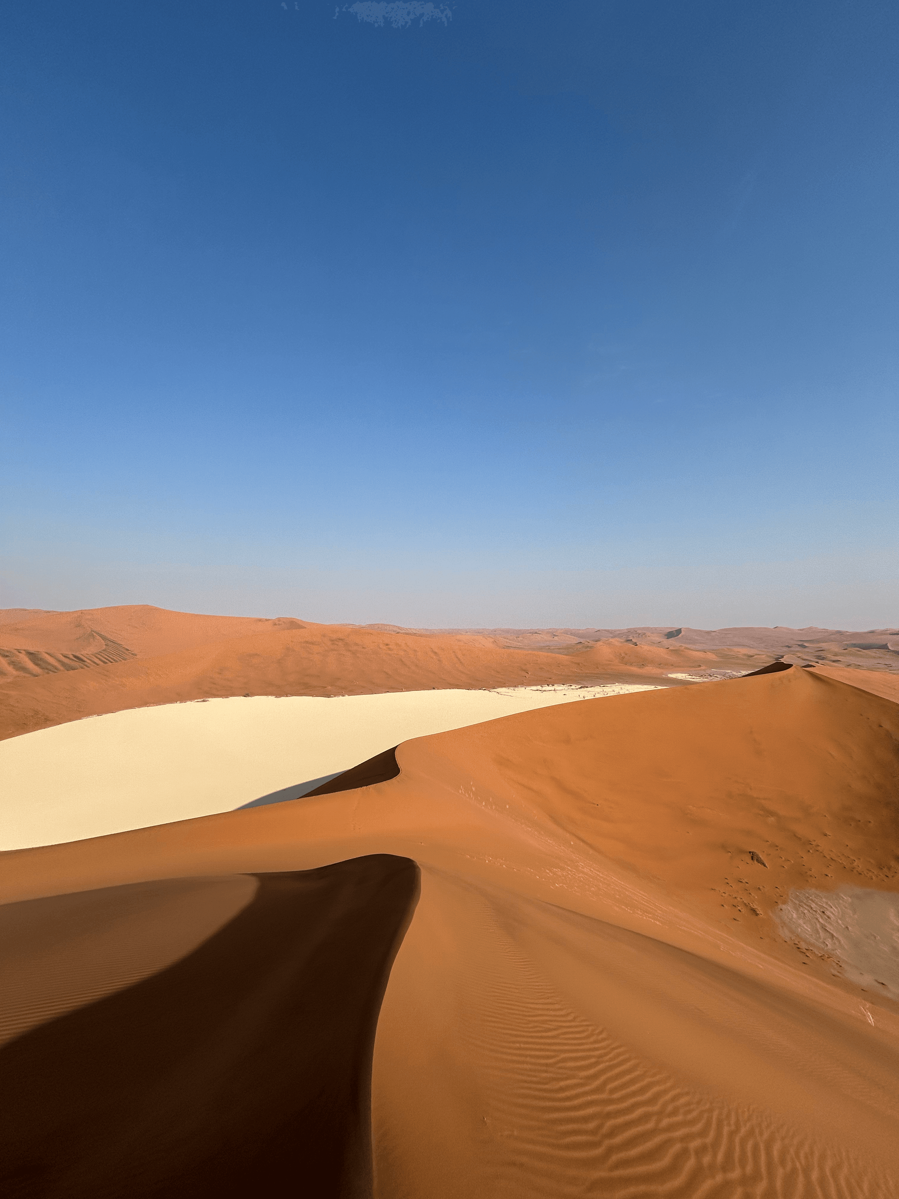 Hoogtepunten van Namibië - Comfort